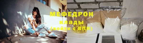 спиды Богданович