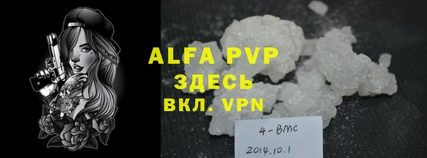 спиды Богданович