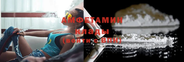 спиды Богданович