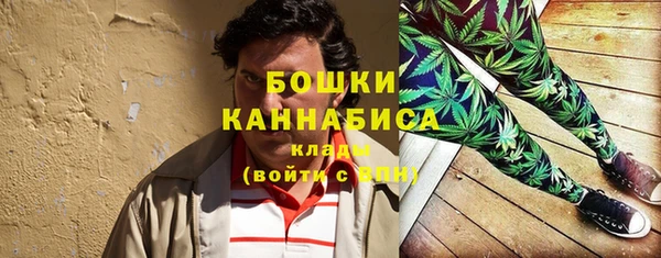 МДПВ Богородицк