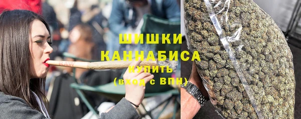 МДПВ Богородицк