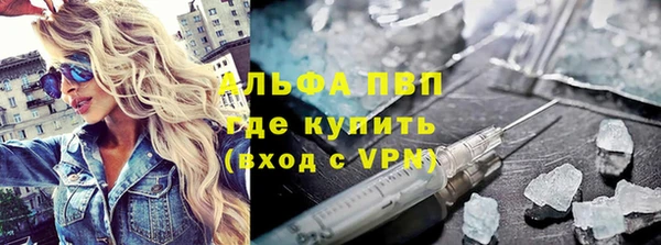 спиды Богданович
