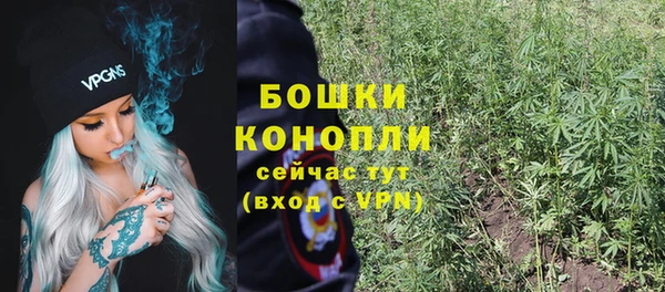 МДПВ Богородицк