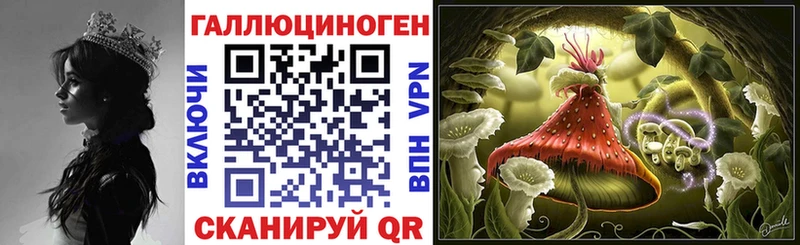 наркошоп  Горячий Ключ  Галлюциногенные грибы Magic Shrooms 