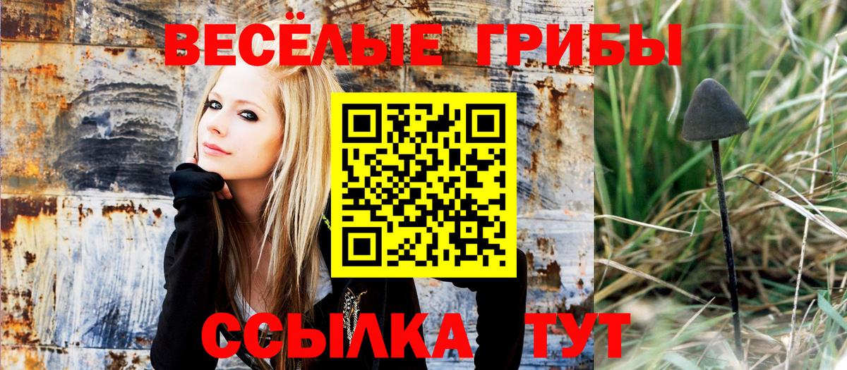 магазин    Вход с VPN  Псилоцибиновые грибы Magic Shrooms  Горячий Ключ  Галлюциногенные грибы Psilocybe 
