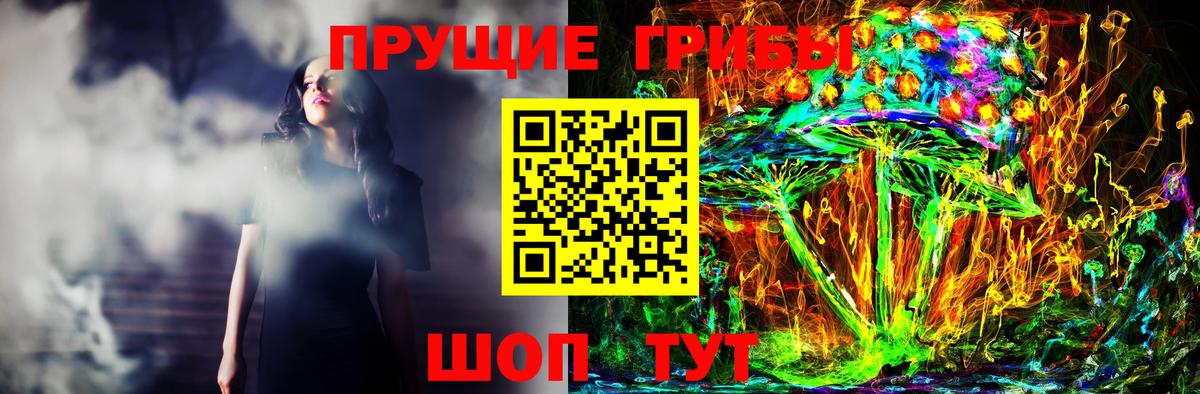 Галлюциногенные грибы мицелий Горячий Ключ